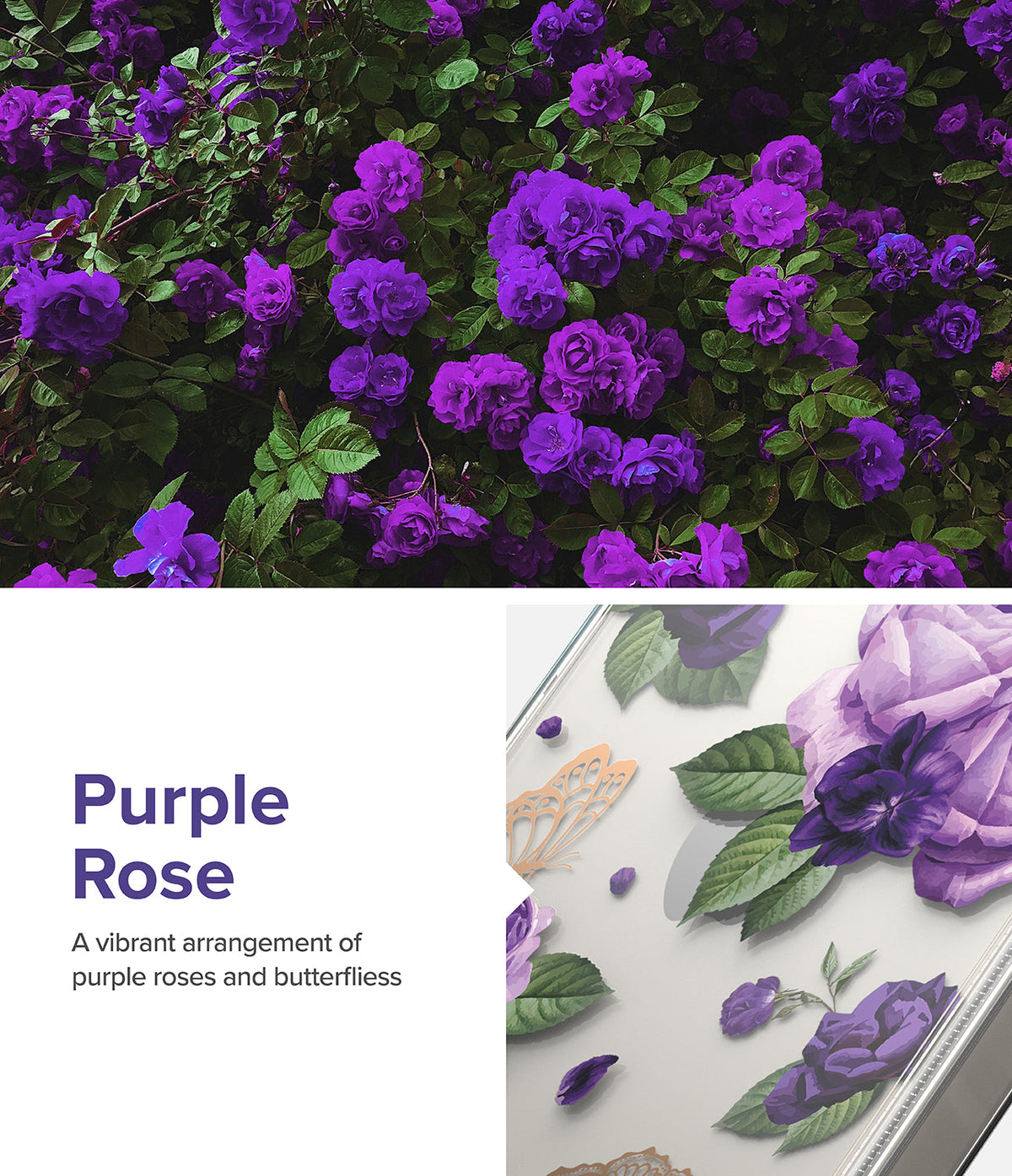 iPhone 14 Case | Fusion Design - Purple roses and a gold butterfly illustration on a clear phone case.