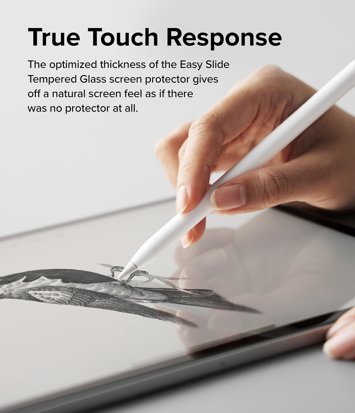 Easy Slide Tempered Glass | iPad - Hand using a stylus to draw on an iPad screen with a tempered glass protector.