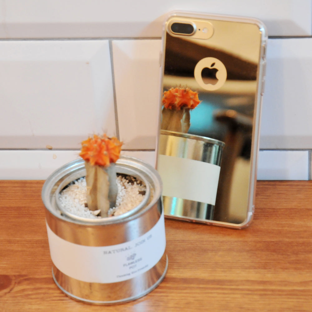 iPhone 7 Plus Case | Mirror - Reflective gold phone case standing next to a small cactus in a metal tin on a wooden surface.