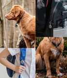 AirTag Case | Slim [1 Pack] - Collage showing AirTag cases attached to dog collars and backpack straps in various settings.