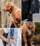 AirTag Case | Slim [1 Pack] - Collage showing a slim AirTag case attached to dog collars and backpack straps.