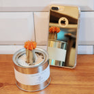 iPhone 7 Case | Mirror - A reflective gold phone case standing next to a small orange cactus in a metal tin on a wooden surface.